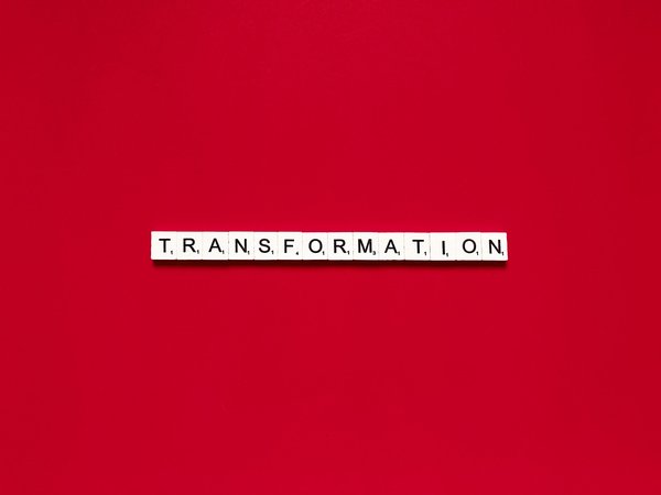 ¿Cómo transformar una azotea plana en un espacio verde funcional y seguro?